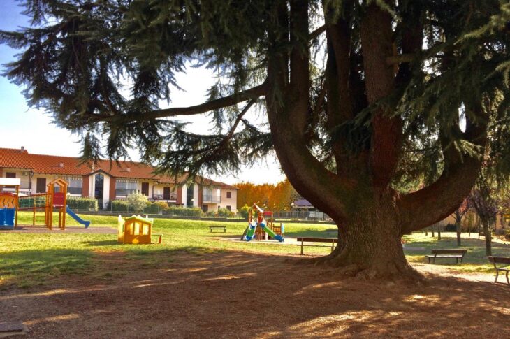 Infanzia Casa del Sole