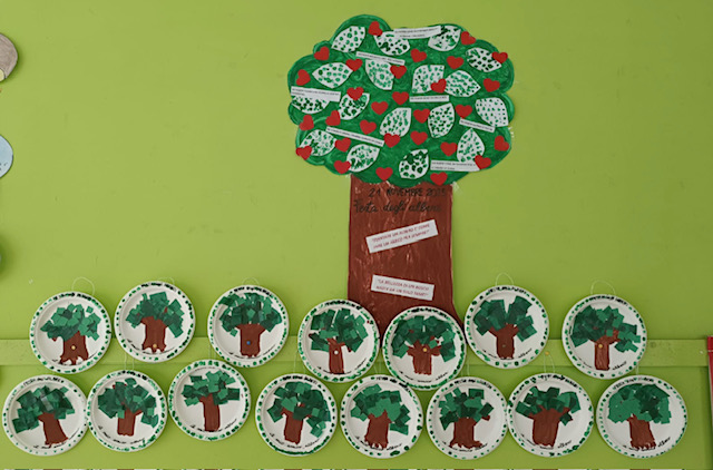 foto albero 4